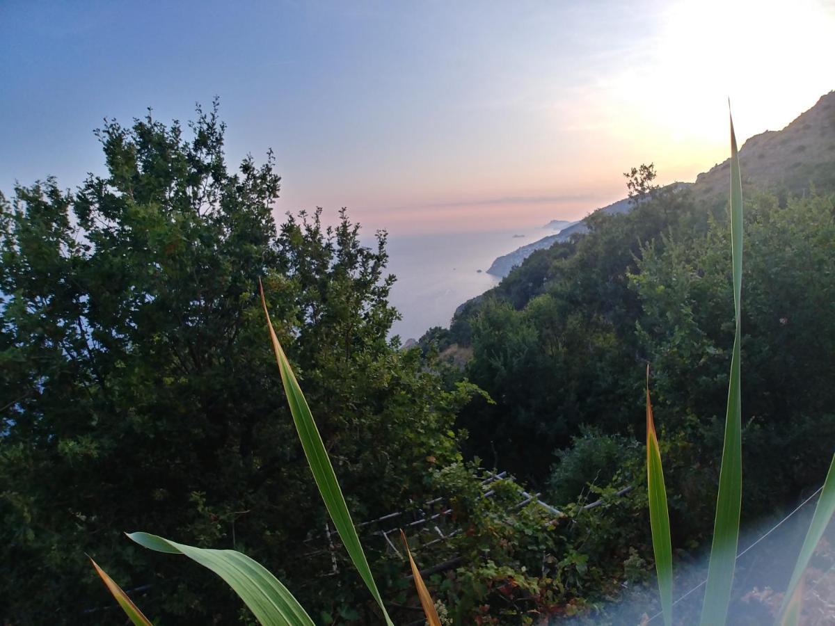 Апартаменты Giardino Sul Mare Амальфи Экстерьер фото